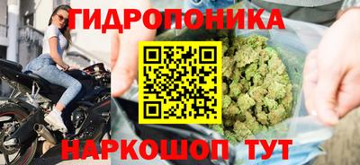 хмурый Новодвинск