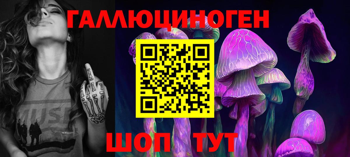 Тулун  Псилоцибиновые грибы мицелий  Вход с VPN 