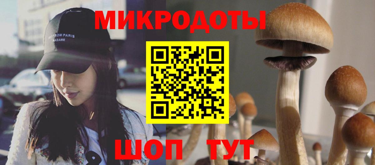 Псилоцибиновые грибы GOLDEN TEACHER Тулун